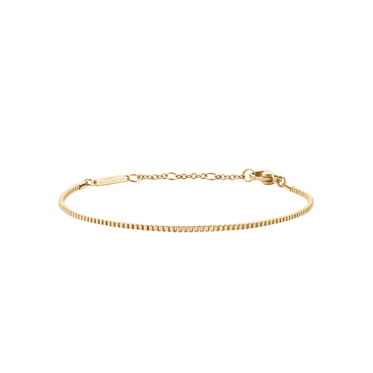 Slim gold box chain bracelet with adjustable clasp, crafted from stainless steel and finished with a radiant PVD gold plating.