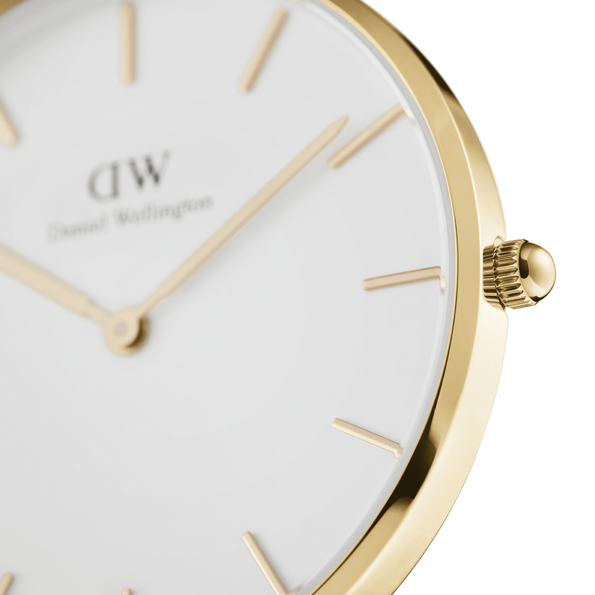 Close-up of Petite Evergold gold watch, featuring minimalist eggshell white dial and polished gold case detailing.