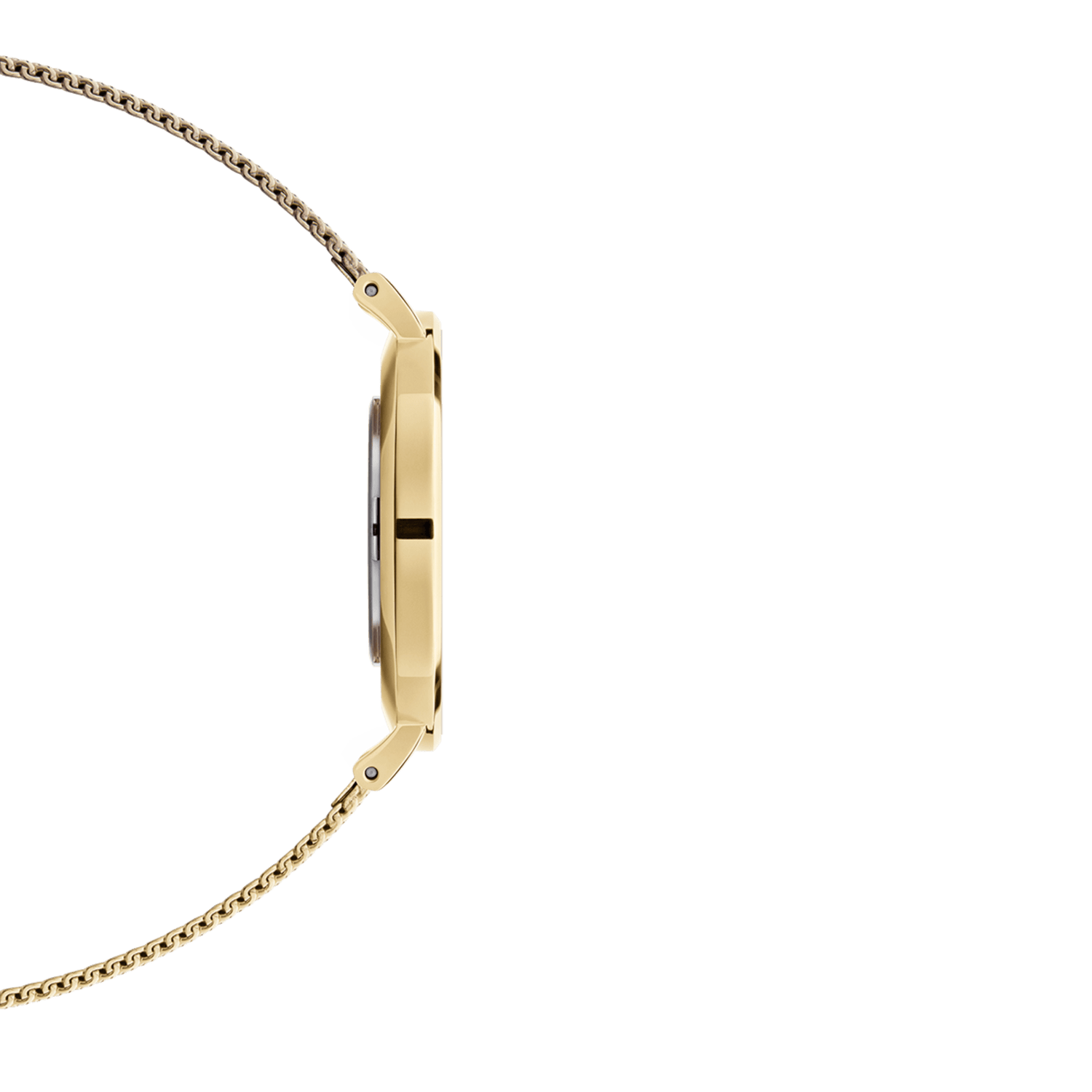Side profile of Petite Evergold women’s watch showing slim gold case and fine gold mesh strap, minimalist design.