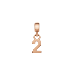 Polished rose gold number 2 charm with a minimalist design, crafted from stainless steel and finished with an adjustable clasp for easy attachment to bracelets or necklaces.