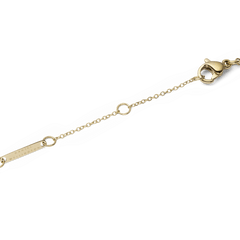 Adjustable gold chain clasp of Audrey Necklace Tiger Eye Gold, featuring lobster clasp and Daniel Wellington engraved tag.