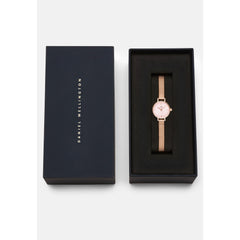 Petite Mini Blush Melrose watch with a blush pink dial and rose gold mesh strap, elegantly presented in a signature Daniel Wellington gift box.