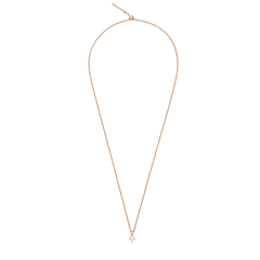 Rose gold necklace featuring a petite crystal zodiac charm pendant on a fine chain.
