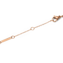 Adjustable rose gold necklace clasp with Daniel Wellington tag and multiple loops for custom fit, fine chain detail visible.