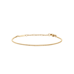 Slim gold box chain bracelet with adjustable clasp, crafted from stainless steel and finished with a radiant PVD gold plating.