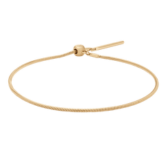 Slim gold snake chain bracelet with an adjustable sliding clasp, crafted from polished stainless steel and finished with a radiant gold tone.