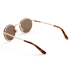 Arch Steel Brown Rose Gold sunglasses featuring round brown nylon lenses, a rose gold stainless steel frame, and tortoiseshell acetate temple tips.